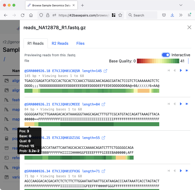42basepairs interface